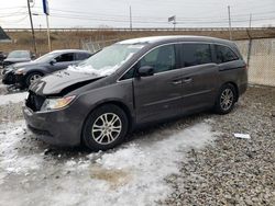 Carros salvage a la venta en subasta: 2013 Honda Odyssey EXL