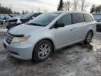 2013 Honda Odyssey EXL