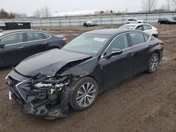 Salvage cars for sale at auction: 2019 Lexus ES 350