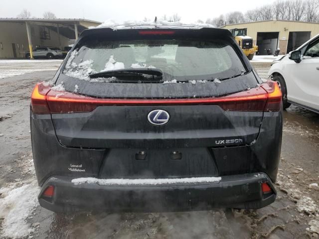 2019 Lexus UX 250H