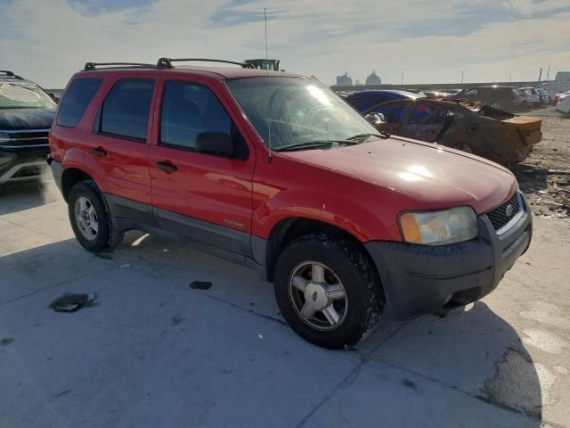 2001 Ford Escape XLT