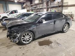 Salvage cars for sale at Eldridge, IA auction: 2011 Nissan Maxima S