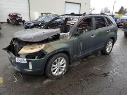 Salvage cars for sale at auction: 2014 KIA Sorento EX