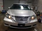 2008 Honda Odyssey EX