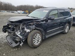 Salvage cars for sale at Windsor, NJ auction: 2019 Lexus GX 460