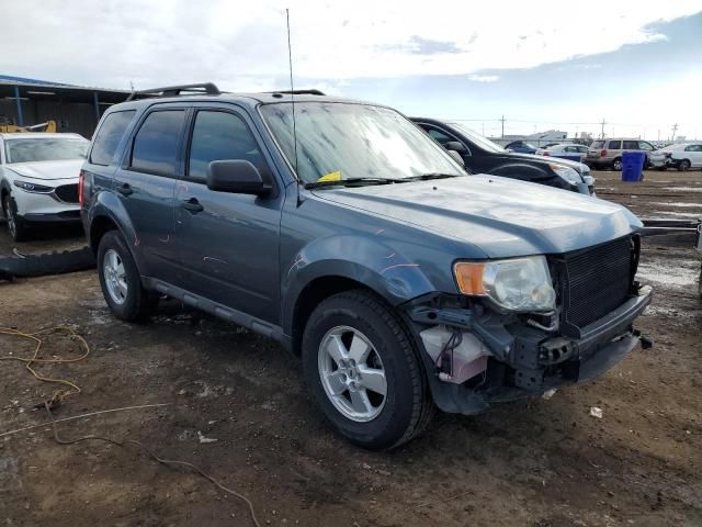 2010 Ford Escape XLT