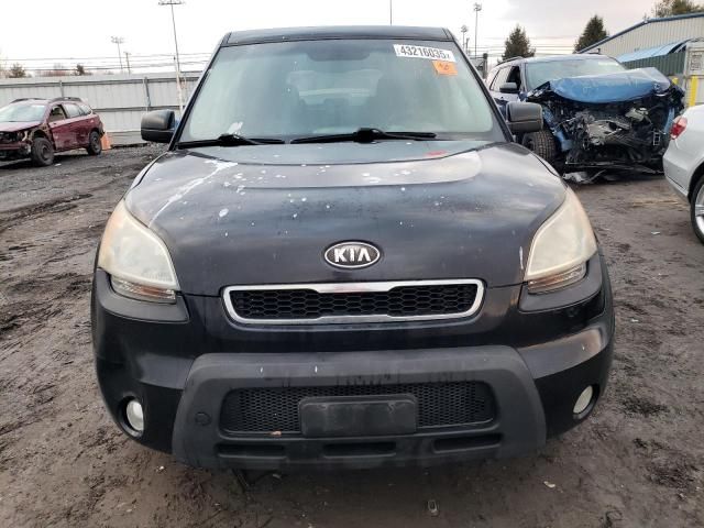 2010 KIA Soul +