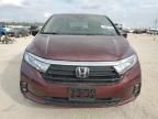 2021 Honda Odyssey EX