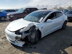 Salvage cars for sale at Magna, UT auction: 2019 Tesla Model 3