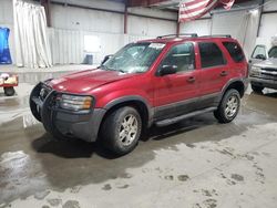 SUV salvage a la venta en subasta: 2004 Ford Escape XLT