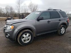 Salvage Cars with No Bids Yet For Sale at auction: 2012 Ford Escape XLT