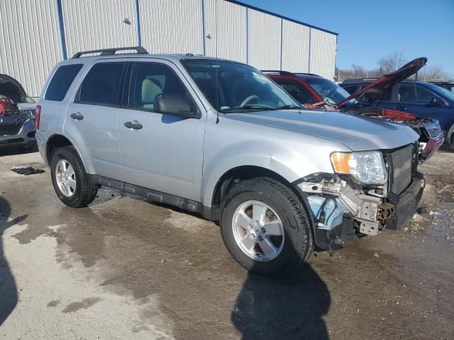 2012 Ford Escape XLT