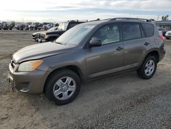 Salvage cars for sale at San Diego, CA auction: 2012 Toyota Rav4