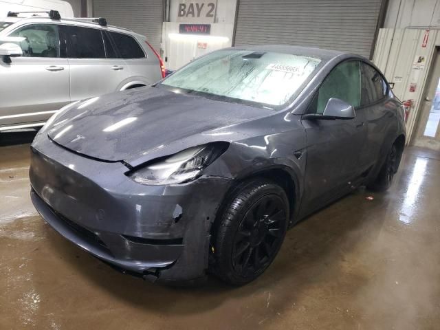 2020 Tesla Model Y