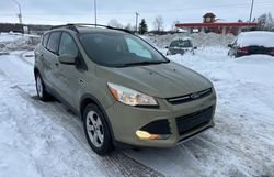 Salvage cars for sale from Copart Cookstown, ON: 2013 Ford Escape SE