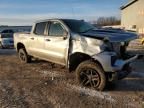 2024 Chevrolet Silverado K1500 LT Trail Boss