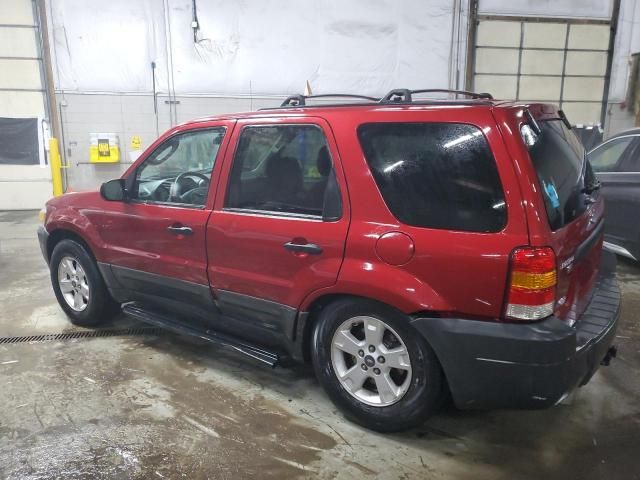 2005 Ford Escape XLT