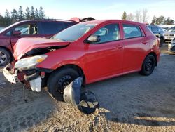 2009 Toyota Corolla Matrix en venta en Bowmanville, ON