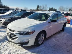 Salvage cars for sale at Bowmanville, ON auction: 2019 Chevrolet Malibu LS