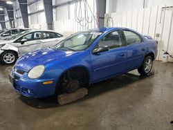 Salvage cars for sale at Ham Lake, MN auction: 2005 Dodge Neon SXT