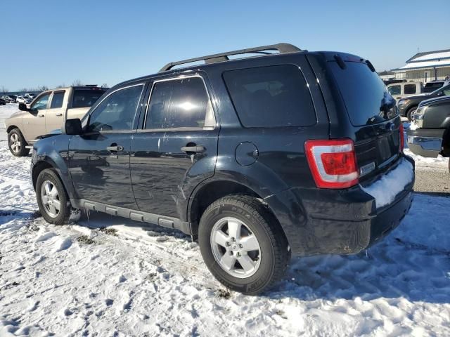 2010 Ford Escape XLT