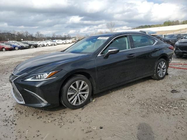 2021 Lexus ES 250 Base