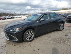 Salvage cars for sale at auction: 2021 Lexus ES 250 Base