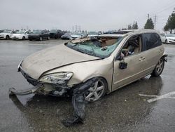 Salvage cars for sale at Rancho Cucamonga, CA auction: 2006 Honda Accord EX