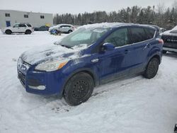 Salvage cars for sale from Copart Cookstown, ON: 2013 Ford Escape SE