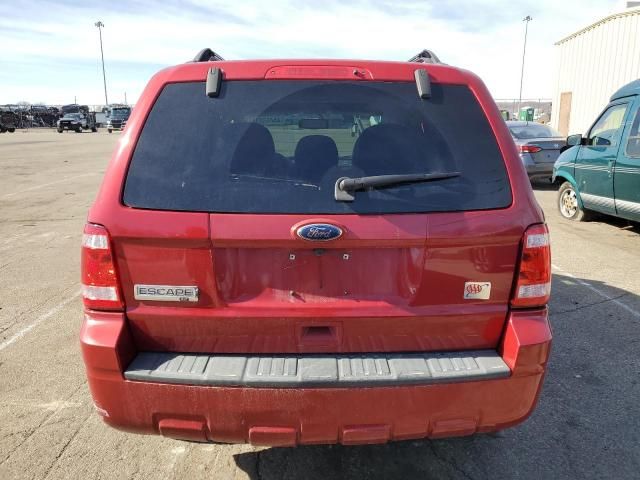 2010 Ford Escape XLT