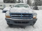 2003 Dodge Dakota SXT