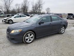 2010 Toyota Camry Base en venta en Cicero, IN