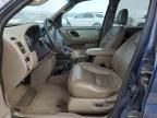 2002 Ford Escape XLT