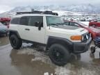 2008 Toyota FJ Cruiser