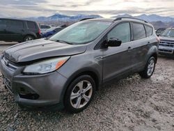 Ford salvage cars for sale: 2014 Ford Escape SE