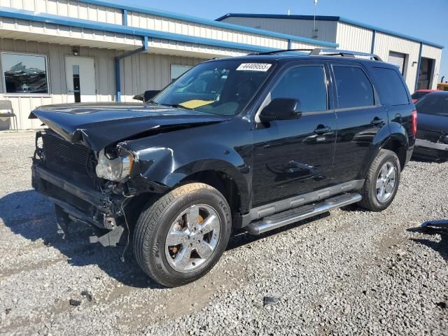 2010 Ford Escape Limited