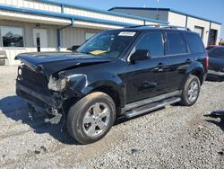 Salvage cars for sale at Earlington, KY auction: 2010 Ford Escape Limited