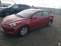 Salvage cars for sale at Antelope, CA auction: 2016 Hyundai Elantra SE