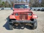 1994 Jeep Wrangler / YJ S