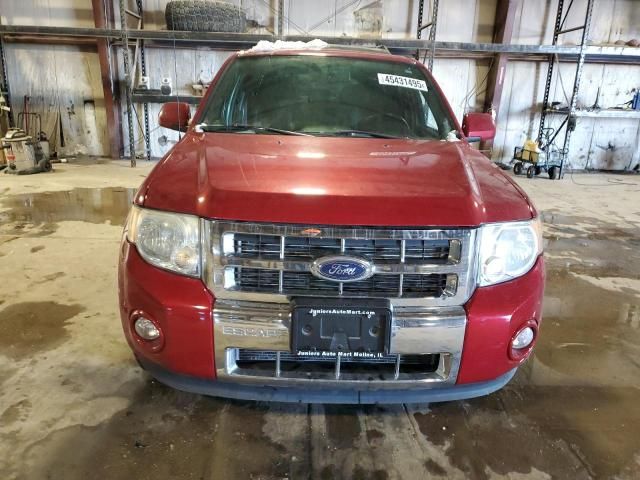 2010 Ford Escape Limited