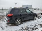 2007 Hyundai Santa FE GLS