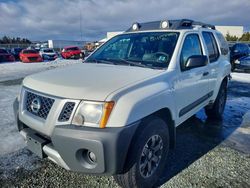 Salvage cars for sale at Elmsdale, NS auction: 2015 Nissan Xterra X