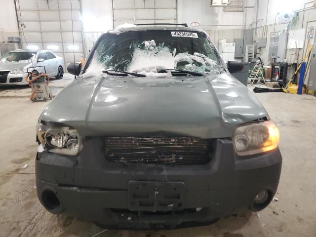 2006 Ford Escape XLT