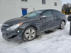 Salvage Cars with No Bids Yet For Sale at auction: 2015 Hyundai Sonata Hybrid