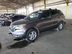 Salvage cars for sale at Phoenix, AZ auction: 2011 Honda CR-V EX