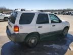 2005 Ford Escape XLT