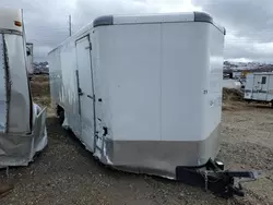 White salvage cars for sale: 2023 White Trailer