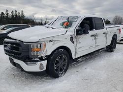 Ford salvage cars for sale: 2023 Ford F150 Supercrew