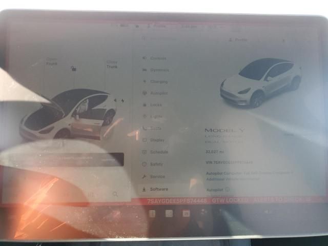 2023 Tesla Model Y