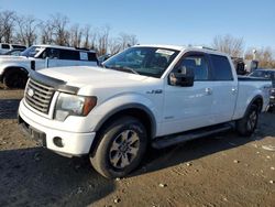 Salvage cars for sale at Baltimore, MD auction: 2011 Ford F150 Supercrew